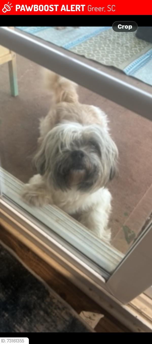 Lost Male Dog last seen GREER HIGH, COUNTRY CLUB, CYPRESS LANDING, Greer, SC 29651
