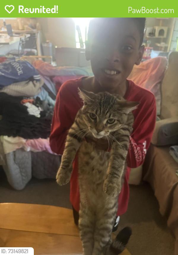 Reunited Male Cat last seen Near Waverly Dr. 75495, Van Alstyne, TX 75495