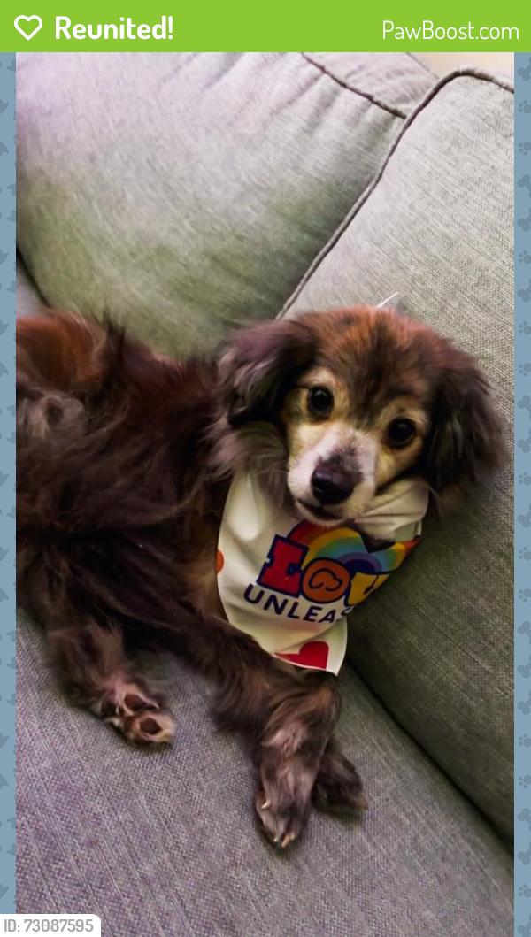Reunited Male Dog last seen MLK Jr BLVD and Dearing Road, Covington, GA 30014
