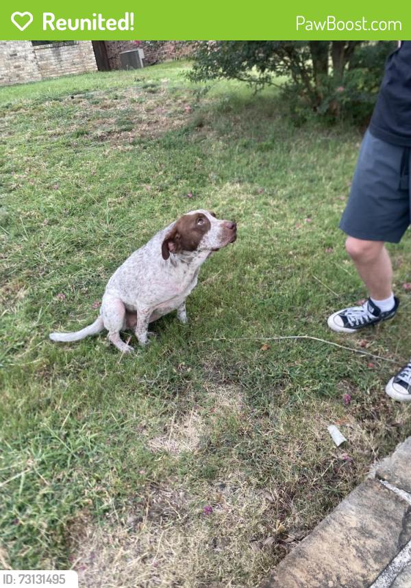 Reunited Female Dog last seen McCoy Rd and McCoy Ct, Carrollton, TX 75006