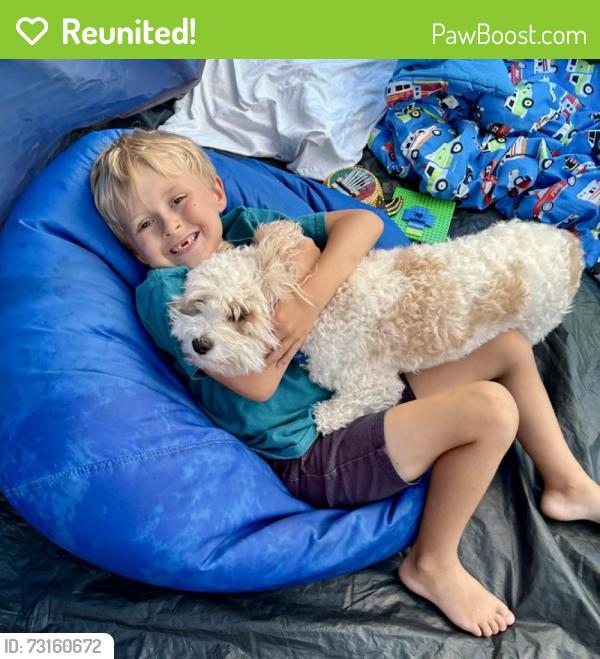 Reunited Male Dog last seen Forest Lake Drive and Forest Lake Drove, Asheville, NC 28803