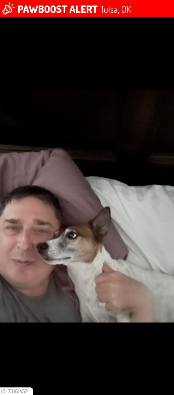 Lost Male Dog last seen 41st and Yale, Tulsa, OK 74135
