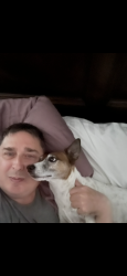 Lost Male Dog last seen 41st and Yale, Tulsa, OK 74135