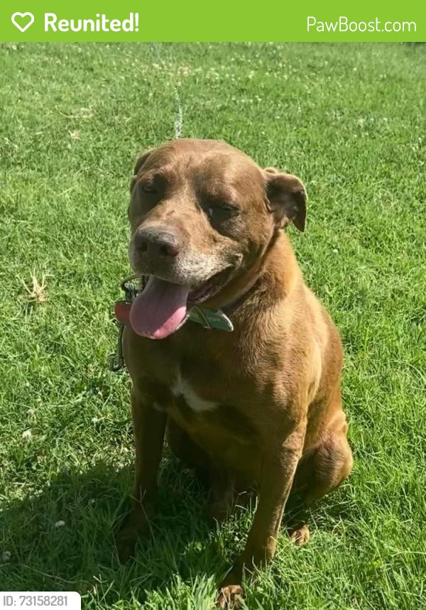 Reunited Male Dog last seen Harry & Greenwich, Wichita, KS 67207