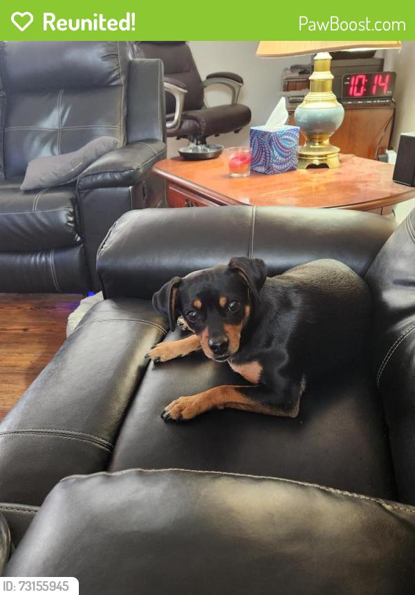 Reunited Male Dog last seen Gravel access road next to the electrical substation across from the Marathon station, Trenton, OH 45067