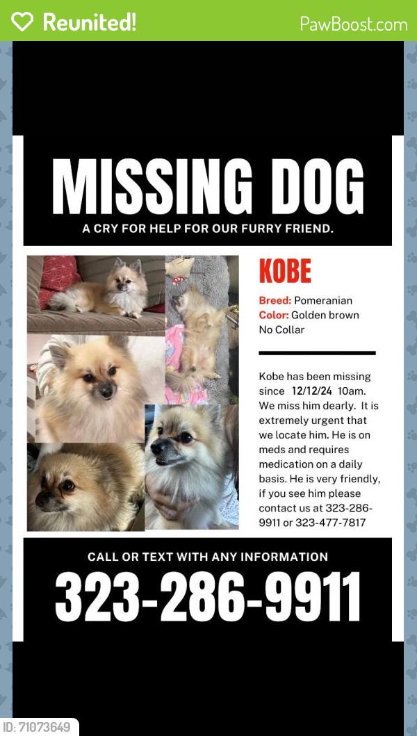 Reunited Male Dog last seen Sydney Dr and Eagle Ave, East Los Angeles, CA 90022