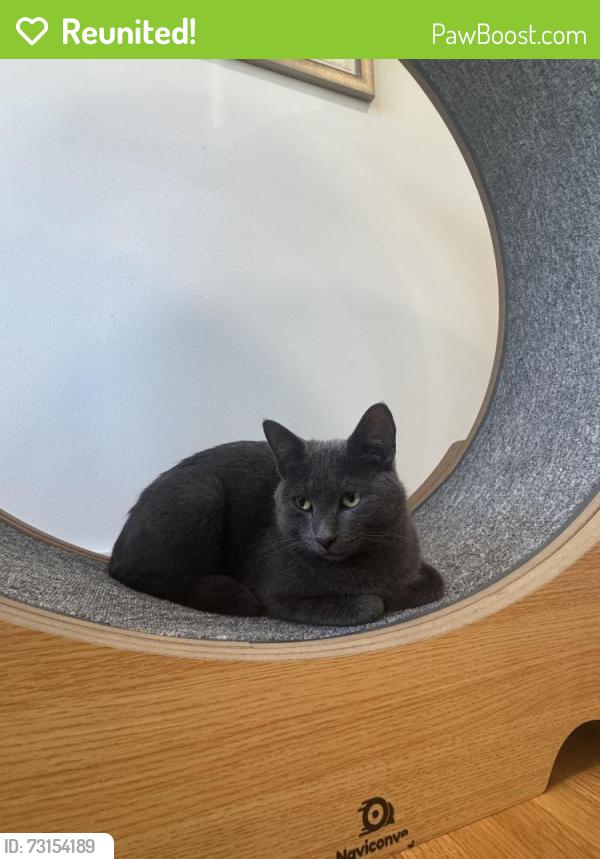 Reunited Male Cat last seen Heartland park, Nashville, TN 37214