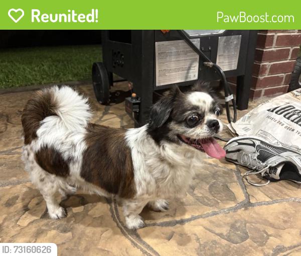 Reunited Female Dog last seen Water Edge Ln, Grand Lakes, TX 77494, USA, Grand Lakes, TX 77494