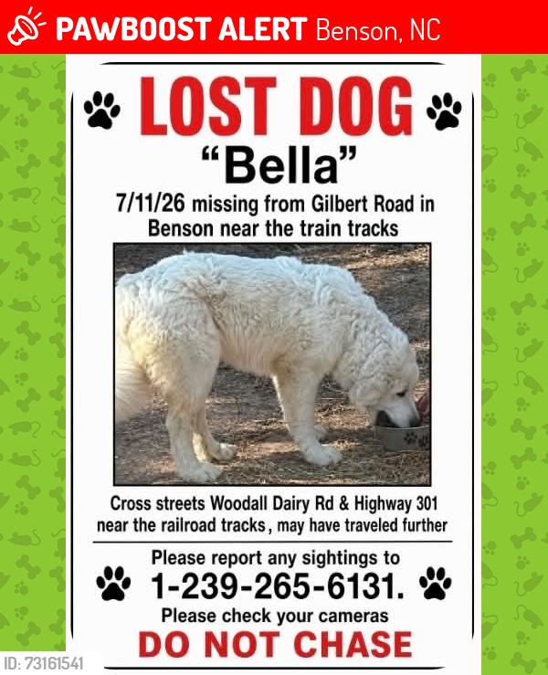 Lost Female Dog last seen Gilbert Rd Woodall Dairy Rd US 301, Benson, NC 27504
