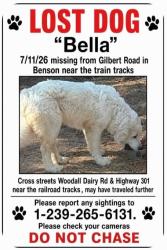 Lost Female Dog last seen Gilbert Rd Woodall Dairy Rd US 301, Benson, NC 27504