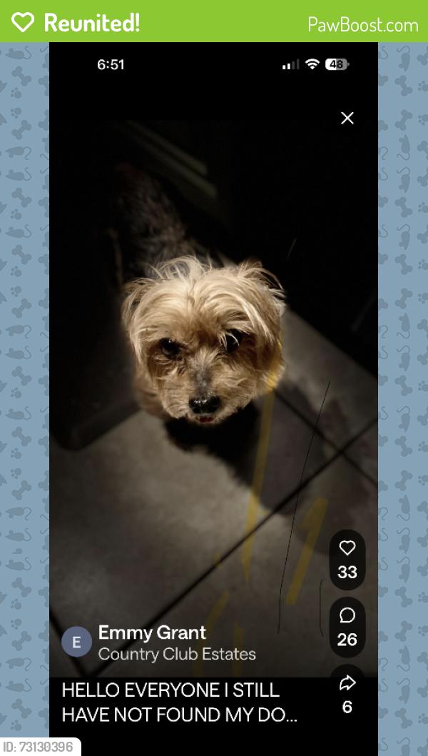 Reunited Male Dog last seen SW 44 AVE and 11th ST country club circle -10th ST, Plantation, FL 33317