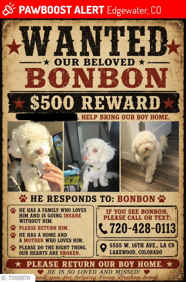 Lost Male Dog last seen 17th and depew, Edgewater, CO 80214