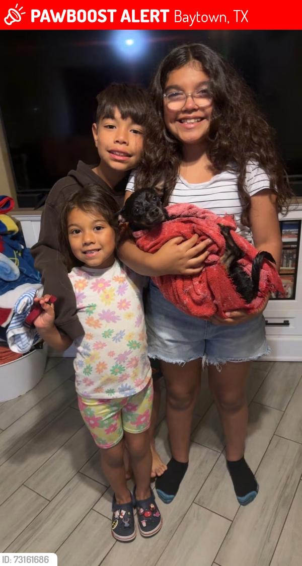 Lost Male Dog last seen Bayway, baker, Baytown, TX 77520