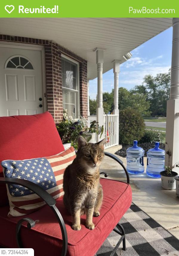 Reunited Female Cat last seen SW 96th Ct Rd, Ocala, FL 34481