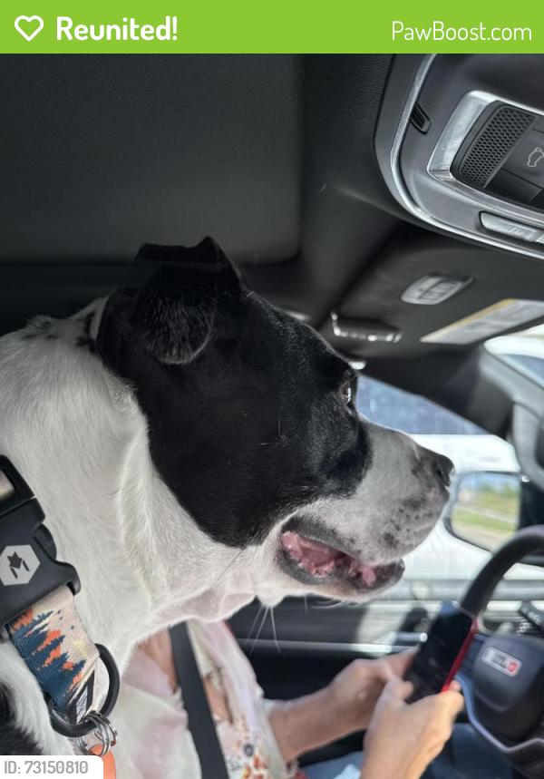 Reunited Male Dog last seen Near Highway 11 West and the StoneBriar edition., Sulphur Springs, TX 75482
