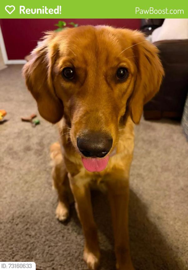 Reunited Female Dog last seen Crosspoint subdivision near Bauer Rd, 32 and old 32, Batavia, OH 45103