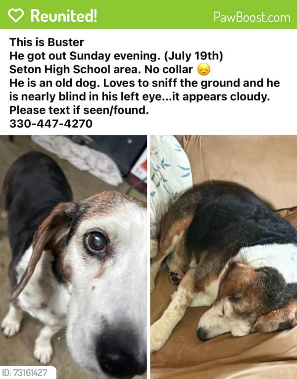 Reunited Male Dog last seen Beech and Glenway, Cincinnati, OH 45205