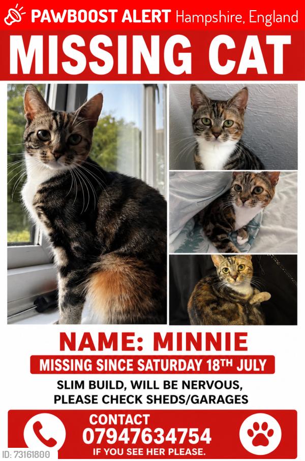 Lost Female Cat last seen Bishop Challenor school, Hampshire, England 