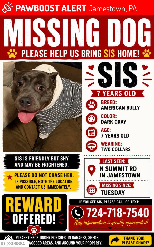 Lost Female Dog last seen Near Jamestown/kindman rd, Jamestown, PA 16134