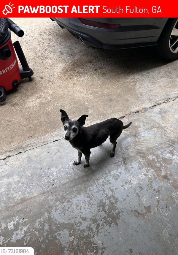 Lost Female Dog last seen Neighborhood by line creek rd, South Fulton, GA 30213