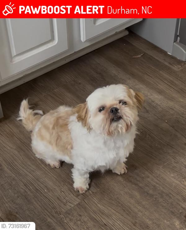 Lost Female Dog last seen Play Gate Ln Durham NC, Durham, NC 27703