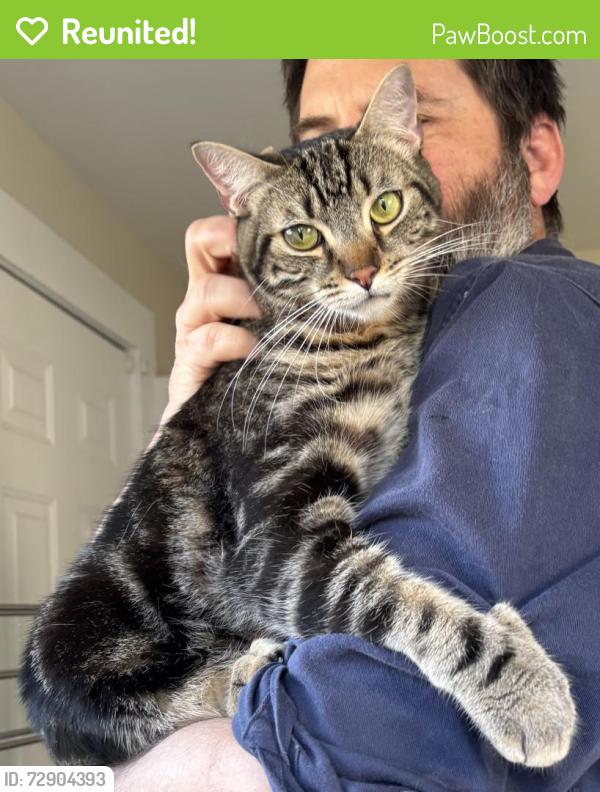 Reunited Male Cat last seen High Street, Alameda, CA 94501