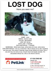 Reunited Female Dog last seen Hadensville,VA, Goochland County, VA 23153