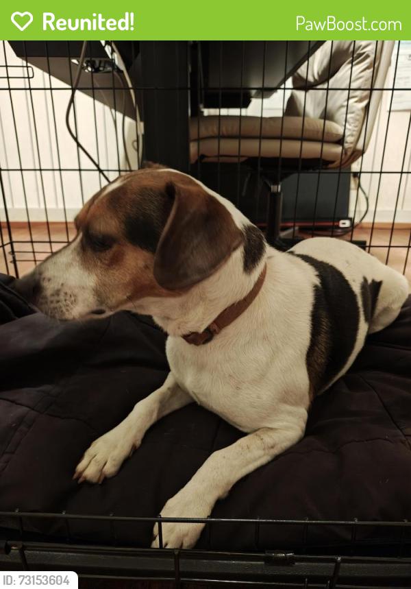 Reunited Male Dog last seen Chaudron dr, Mobile, AL 36618