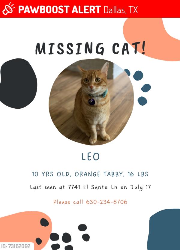 Lost Male Cat last seen Arapaho and Coit rd, Dallas, TX 75248