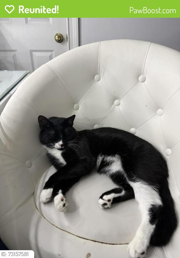 Reunited Male Cat last seen Cornfield RDG, Newtown, CT 06470