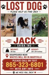 Reunited Male Dog last seen Whites Mill Rd, Maryville, TN 37803