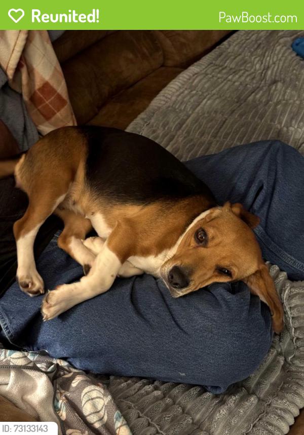 Reunited Female Dog last seen Yoder's at Meece Mill, Pickens, SC 29671