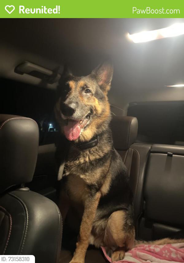 Reunited Male Dog last seen 47th Ave, Vero Beach, FL, USA, Vero Beach, FL 32960