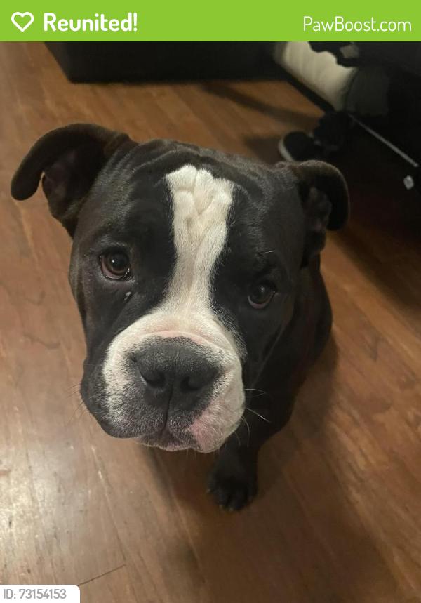 Reunited Female Dog last seen Council Road, Bethany, OK 73008