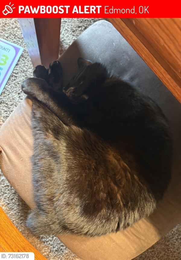 Lost Male Cat last seen Sorghum Mill estates, Edmond, OK 73025