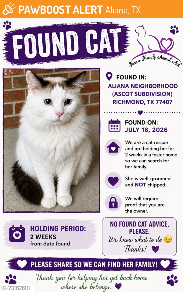 Found/Stray Unknown Cat last seen Balgowan Ln. (Aliana- Ascot) 77407, Aliana, TX 77407