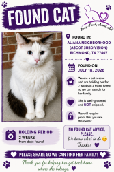 Found/Stray Unknown Cat last seen Balgowan Ln. (Aliana- Ascot) 77407, Aliana, TX 77407