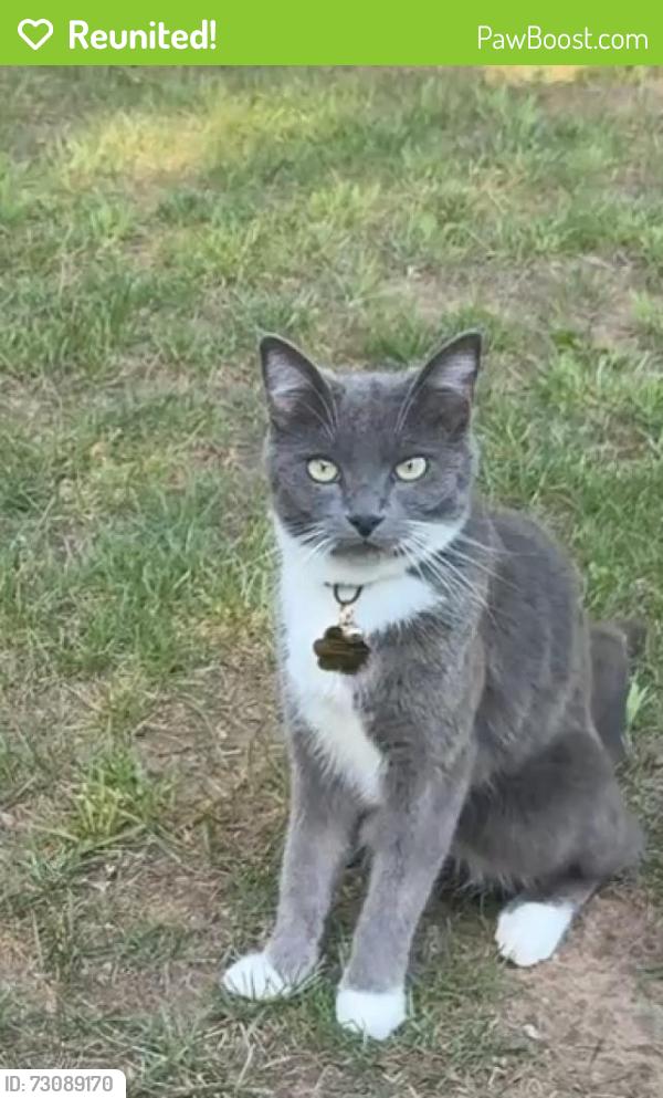 Reunited Male Cat last seen WS, Broken Arrow, OK 74012