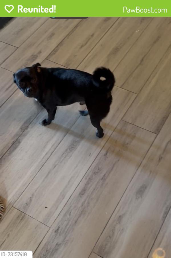 Reunited Male Dog last seen Near SW 50th St, Oklahoma City, OK 73109, USA, Oklahoma City, OK 73109