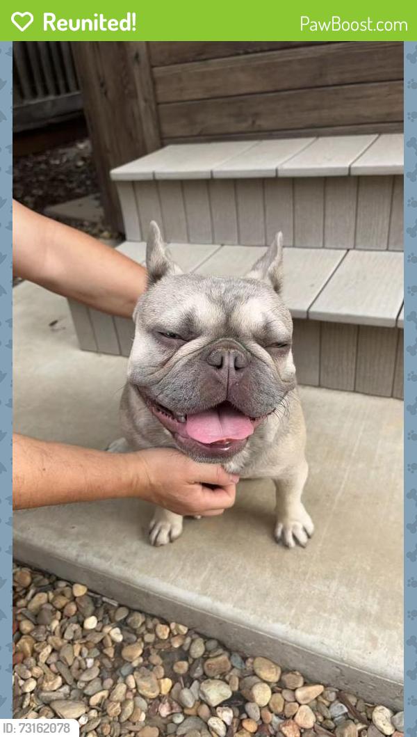Reunited Unknown Dog last seen found by Bedford Ct and Milford St, Brentwood, CA 94513
