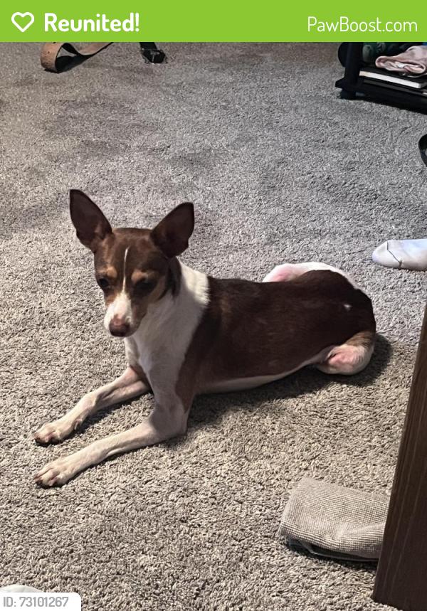 Reunited Female Dog last seen NC 24/27 W road between Oakboro, NC, and Norwood, NC (Stanly county), Oakboro, NC 28129