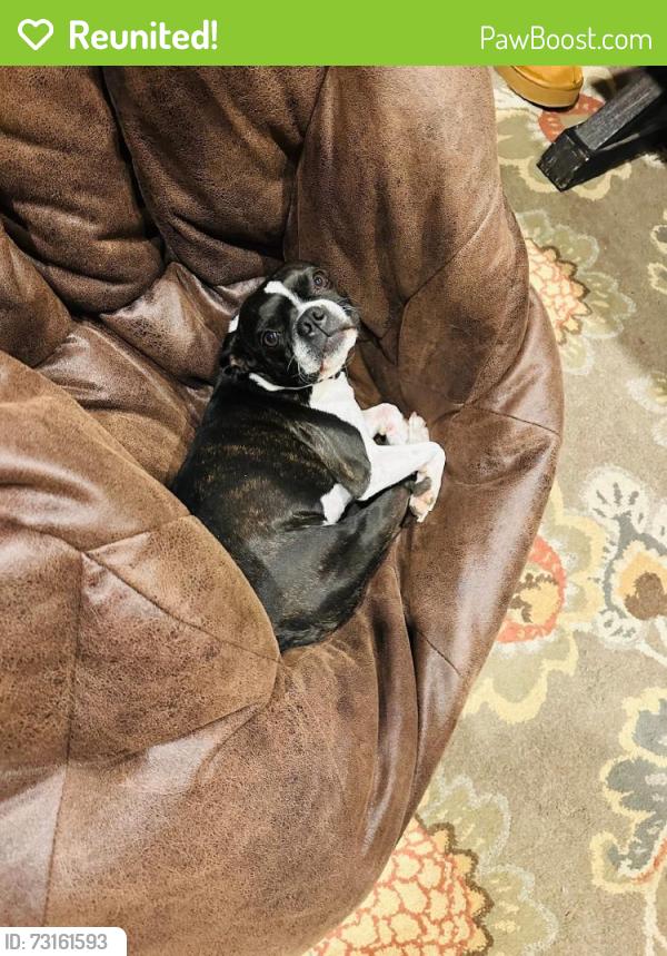 Reunited Male Dog last seen Braun Rd, San Antonio, TX, USA, San Antonio, TX 78254