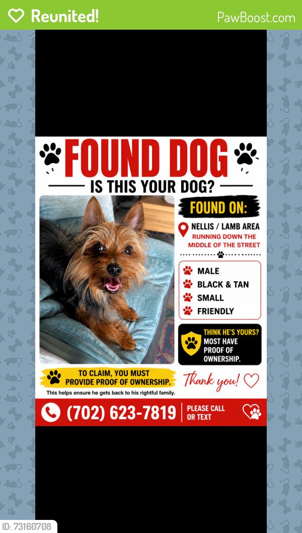 Reunited Male Dog last seen Nellis/Cheyanne, Sunrise Manor, NV 89115