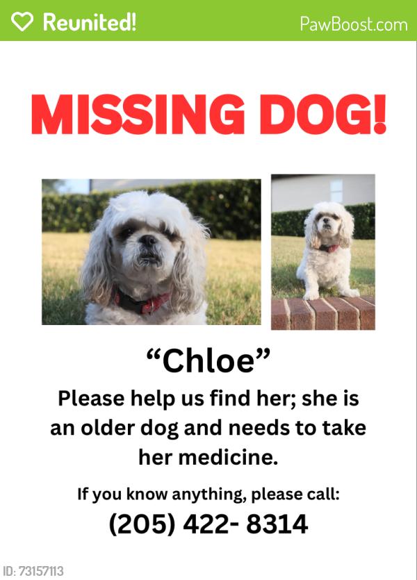 Reunited Female Dog last seen Ashberry Dr., Pinson, AL 35126