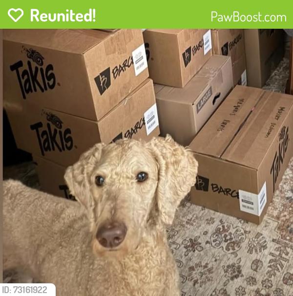 Reunited Male Dog last seen Off of colony village way, Knoxville, TN 37923