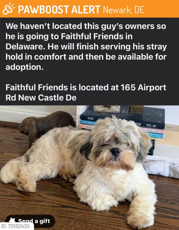 Found/Stray Male Dog last seen Robscott Manor, Newark, DE, Newark, DE 19713