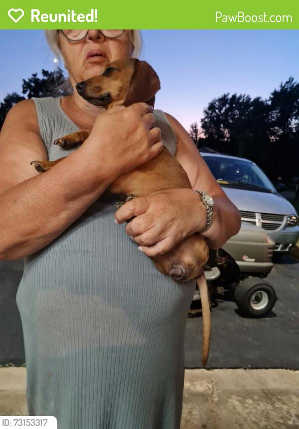 Reunited Female Dog last seen Rockton Rd and Dorr Rd area Rockton, Rockton, IL 61072