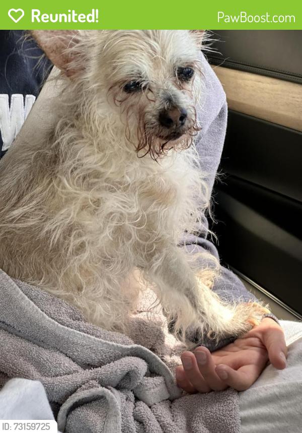 Reunited Male Dog last seen The Hickory’s, Choctaw, OK 73020
