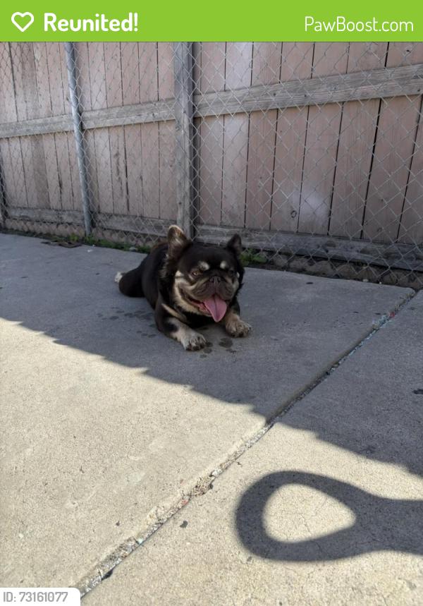 Reunited Male Dog last seen Near Gavin st, San Diego, CA 92102