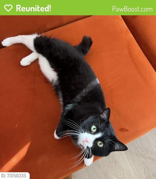 Reunited Male Cat last seen Near S, Lake Avenue, Skyward Rd, Meadowgrass Dr, South Jordan, UT 84009